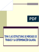 Tema 5 - Las Estructuras en El Mercado de Trabajo