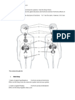 Peemmawat Sattavacharavech - Endocrine System How The Body Works