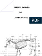 Generalidades de Anatomia