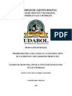 Universidad de Aquino Bolivia: Facultad de Ciencias Y Tecnología Ingeniería en Gas Y Petróleo