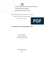 Relatório 2 - Cromatografia em Camada Delgada (CCD)