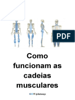 Como Funcionam As Cadeias Musculares