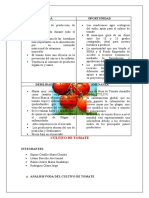 Analisis Foda de Cultivo de Tomate