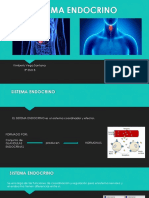 Sistema Endocrino PDF