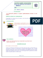 Octavo-Ccnn-04 de Marzo de 2021