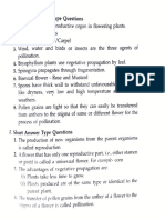 Class7 Answers CH 12