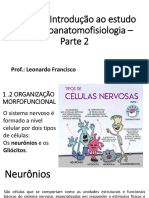 Tema 1 - Introdução Ao Estudo Da Neuroanatomofisiologia - Parte 2