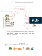 Clasificacion de Los Alimentos