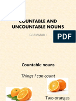 Countable and Uncountable Nouns: Grammar I