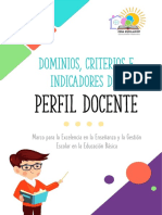 Perfil Docente - 2021