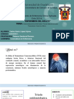 Historia Natural de La Enfermedad - Proceso Salud-Enfermedad Traumatismo Craneoencefálico-2