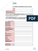 Formato #01: Formato Resumen de Hoja de Vida