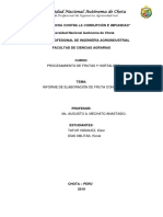 Informe de Fruta Confitada