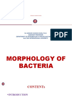 Morphology and Taxonomy of Bacteria