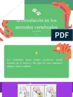 La Circulación en Los Animales Vertebrados