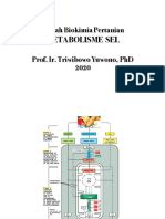 Metabolisme Sel Prof Tri