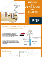 5 Circulacion de Fluidos