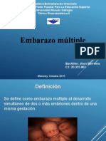 Embarazo Multiple o Gemelar