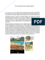 Acumulación y Preservación de La Materia Orgánica PDF