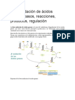 Beta-Oxidacion de Ácidos Grasos