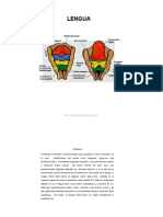 Anatomia de La Lengua PDF