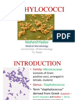 Staphylococci: Maheshyadav