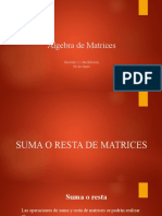 Algebra de Matrices