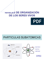 Niveles de Organización de Los Seres Vivos