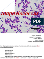 Staphylococcus PPT NATECHE 2020