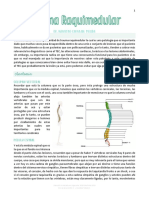 Trauma Raquimedular