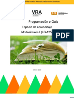 Programación o Guía Didáctica de Morfosintaxis I - III PAC 2020