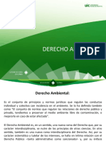 Conceptos Básicos Del Derecho Ambiental