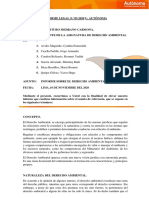 Informe Sobre El Derecho Ambiental