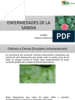 Enfermedades de La Sandia