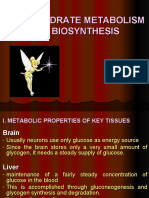 Carbohydrate Metabolism and Biosynthesis