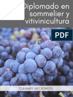 Diplomado Sommelier Vitivinicultura Culinary Art School