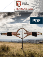 Human Flag Framework School of Calisthenics