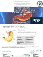 Trastornos Relacionados Con La Secreción Gástrica Ácida