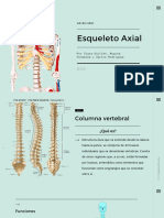 Esqueleto Axial