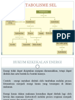 Metabolisme Sel