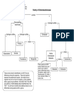 Enterobacteriaceae Chart