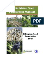 Hybrid Maize Seed Production Manual