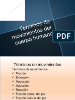 Terminos de Movimientos Del Cuerpo Humano