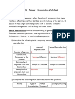 Sexual Vs Asexual Reproduction Worksheet-1