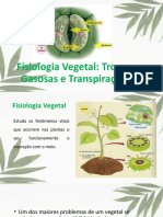 Fisiologia Vegetal - Trocas Gasosas e Transpiração