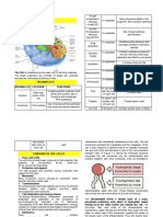 Cells: Hap - Cell Biology