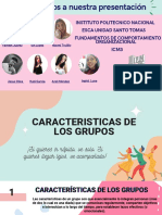 Caracteristicas de Los Grupos