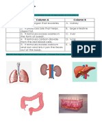 Long Test 2 - Science 6: Match The Excretory Organs in COLUMN B With Its Description in COLUMN A