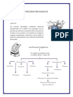 Procesos Psicológicos 