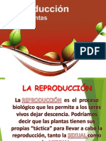 Tema 6 Propagacion de Plantas